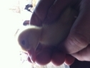 Hill view ducks