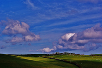 Value of West Country farmland on the up despite flooding