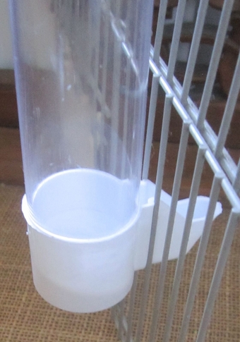Click in cage bird drinker x 100 .