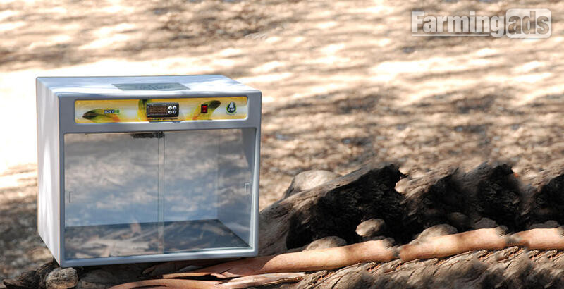 Inca Automatic Incubators and Brooders