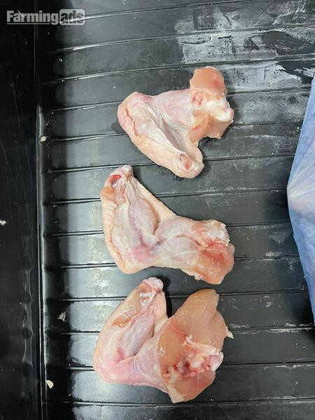 {CATEGORY} - Frozen Day Old Chicks 250/10kg Boxes