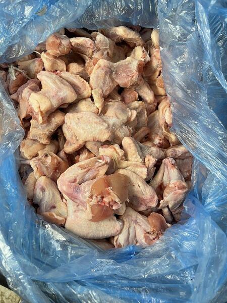 Frozen Day Old Chicks 250/10kg Boxes - {CATEGORY}