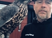 Beautiful dark female gyr/saker