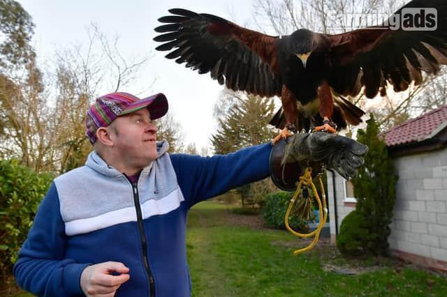 WANTED unwanted birds prey WANTED - {CATEGORY}