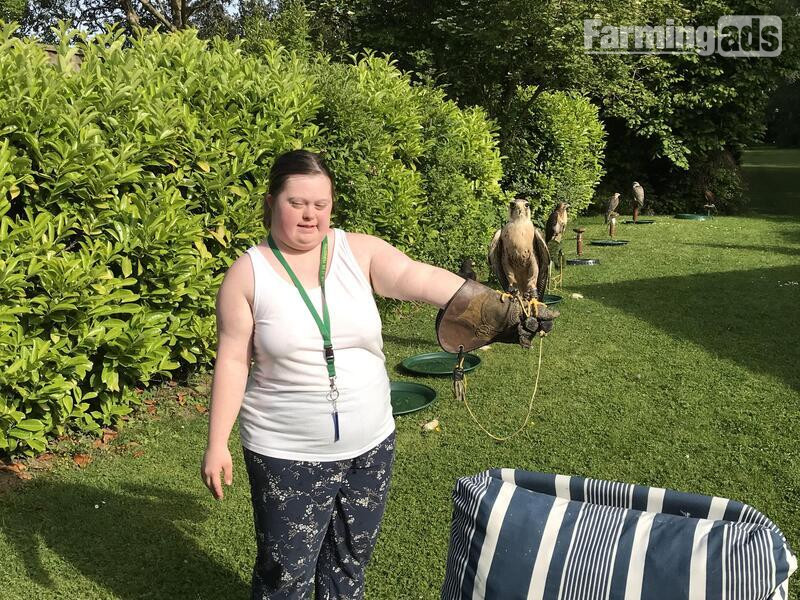  WANTED unwanted birds prey WANTED