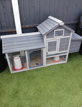Two Pekin chickens with hutch for sale 