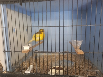 Complete sale due to poor health