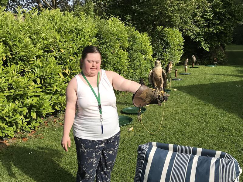  WANTED unwanted birds prey WANTED