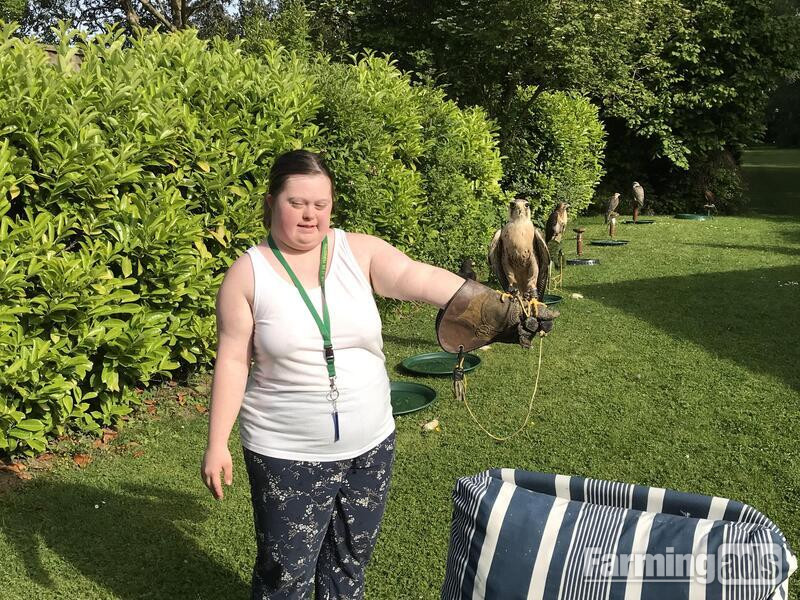  WANTED unwanted birds prey WANTED