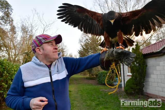 WANTED unwanted birds prey WANTED - {CATEGORY}