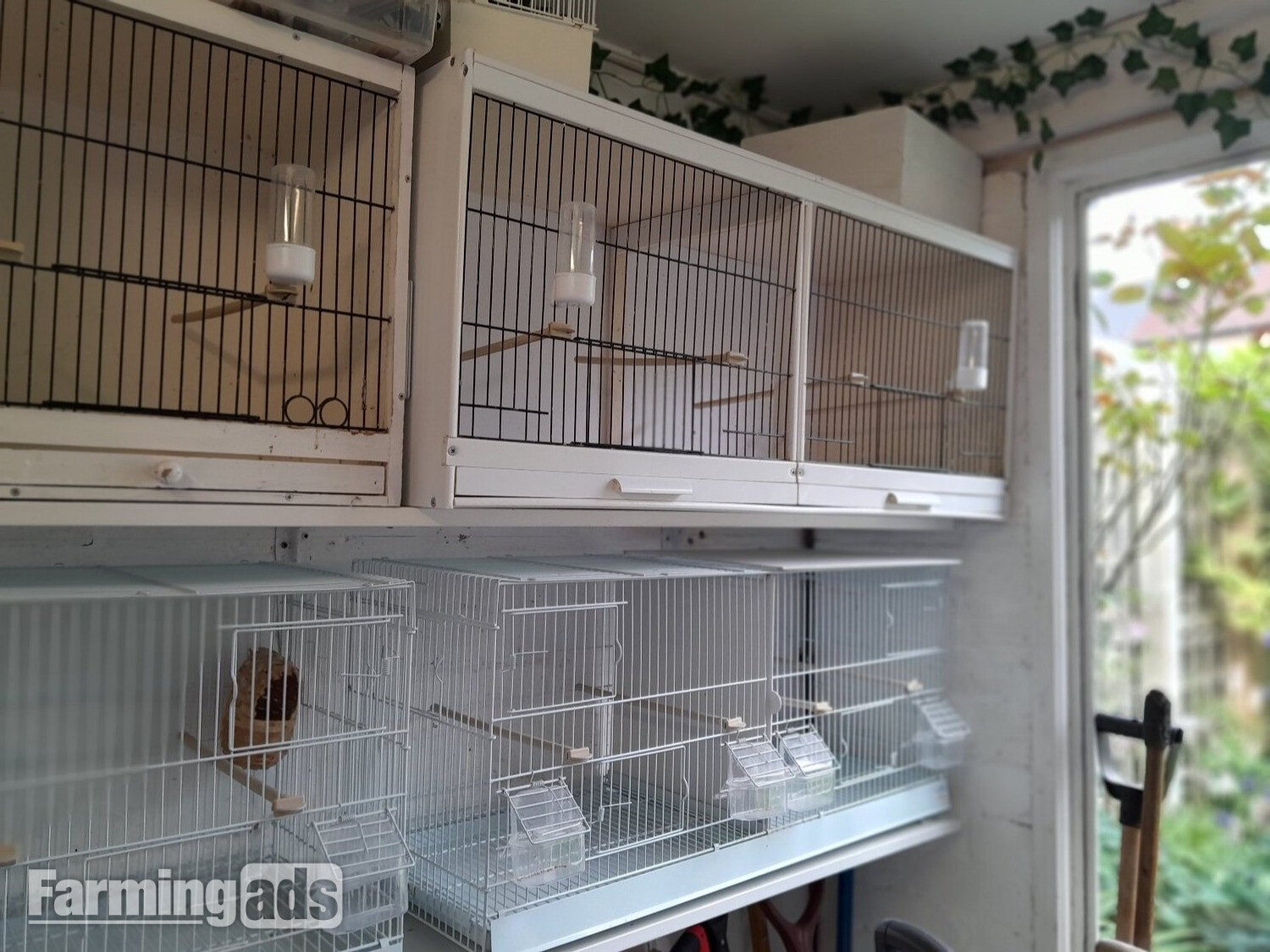 4 double breeding cages