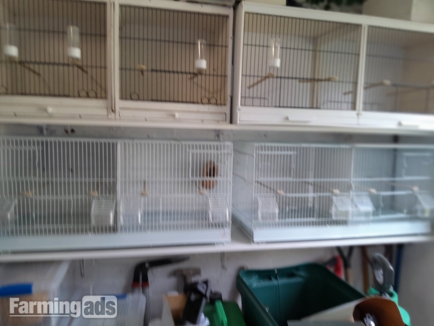 4 double breeding cages