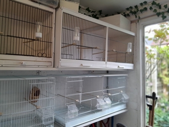 4 double breeding cages