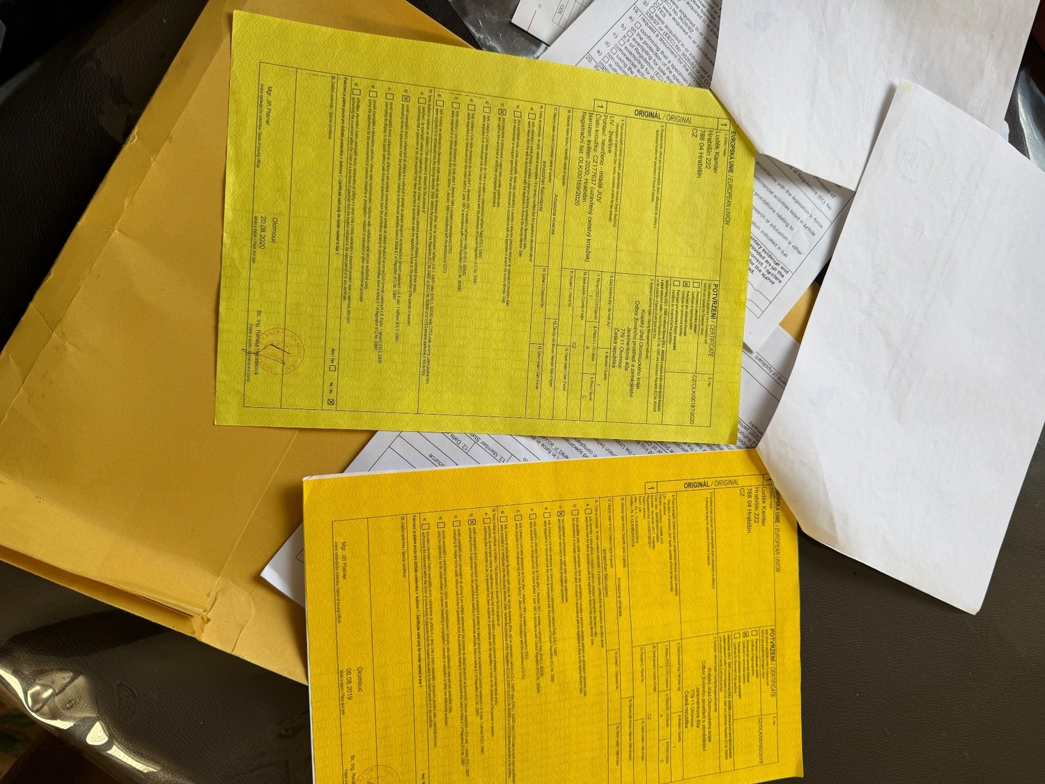 {CATEGORY} - Amazon vinacea bonded 8 year old pair with cites papers close rung