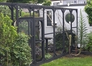 Looking for aviary bird