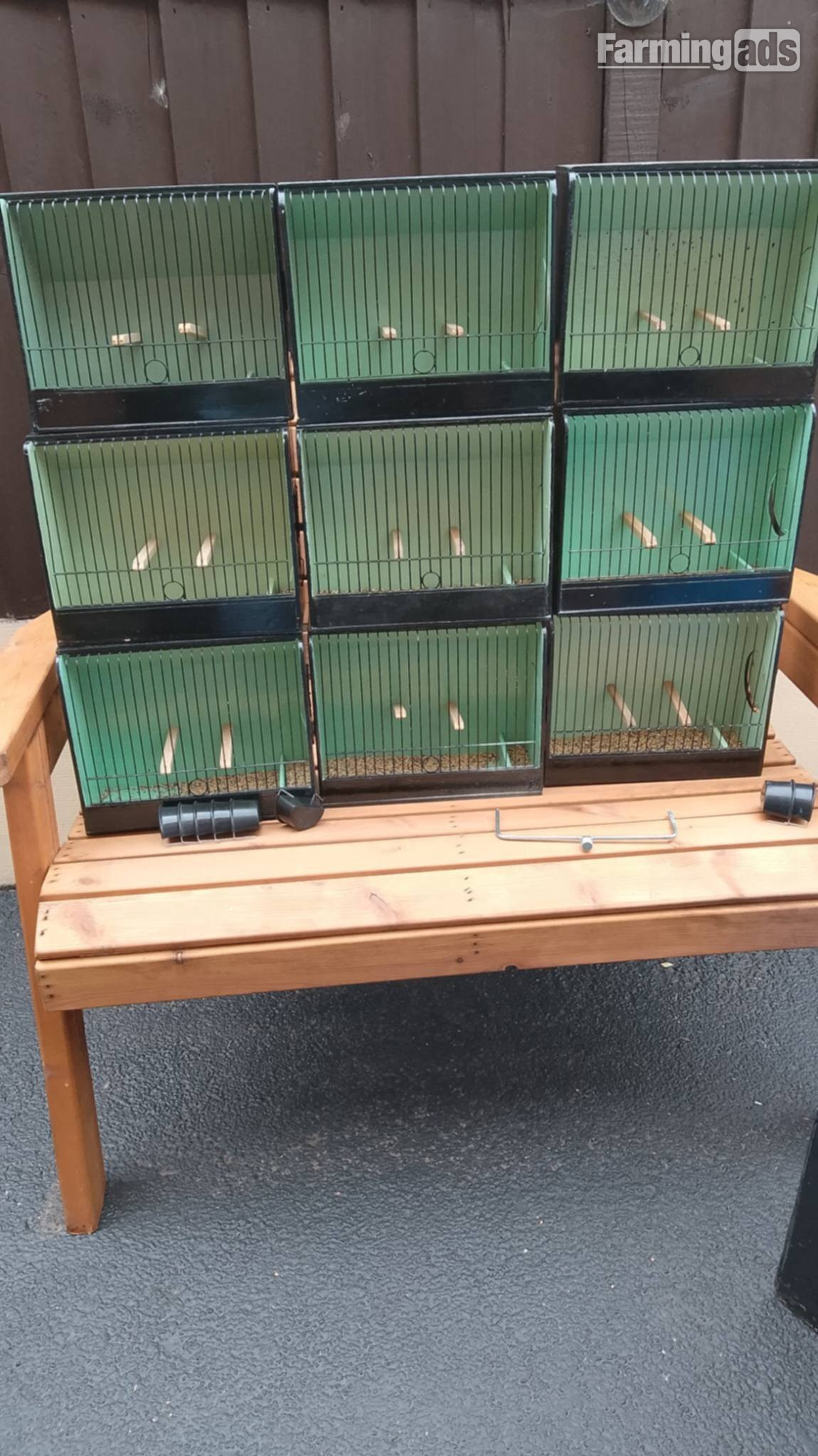 Gloster show boxes plus carrying box