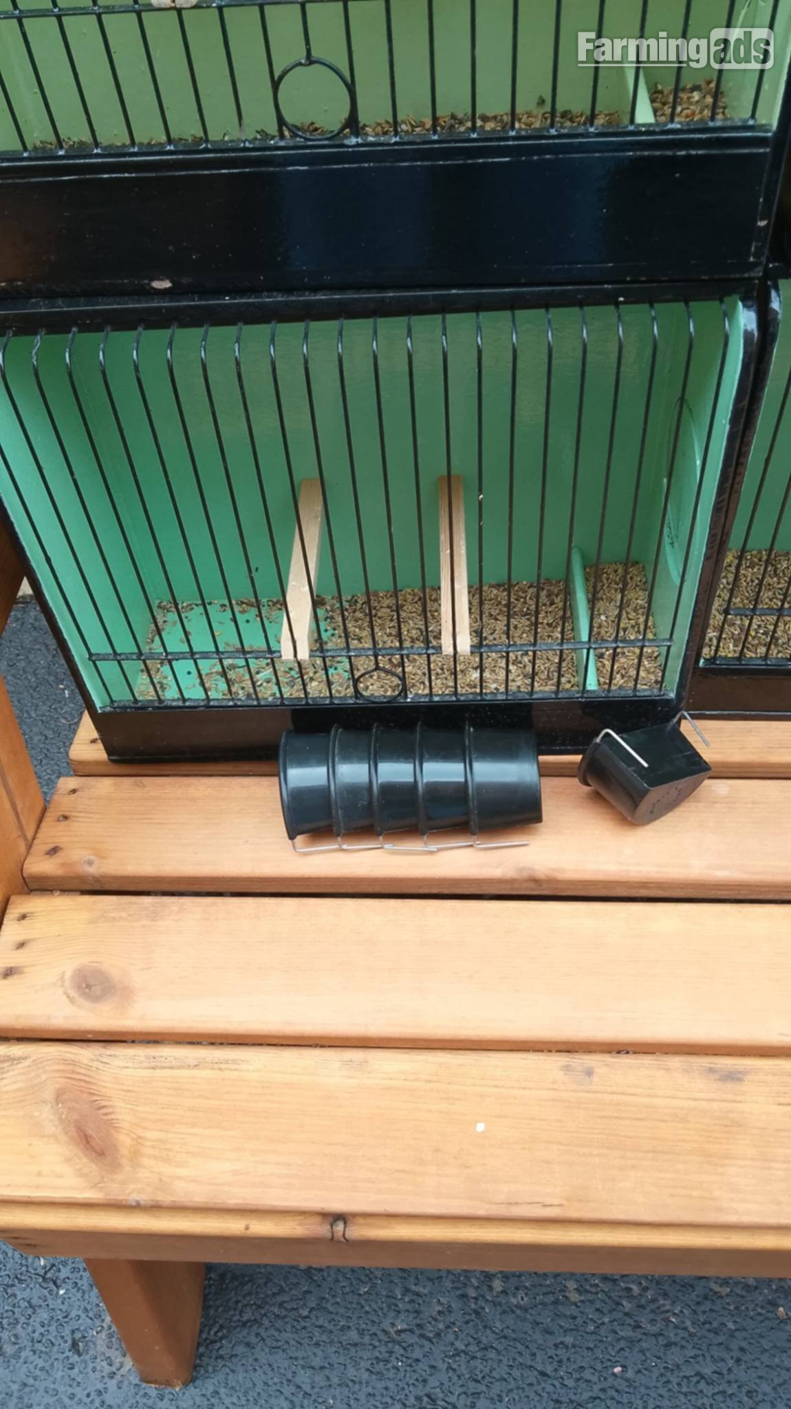 Gloster show boxes plus carrying box
