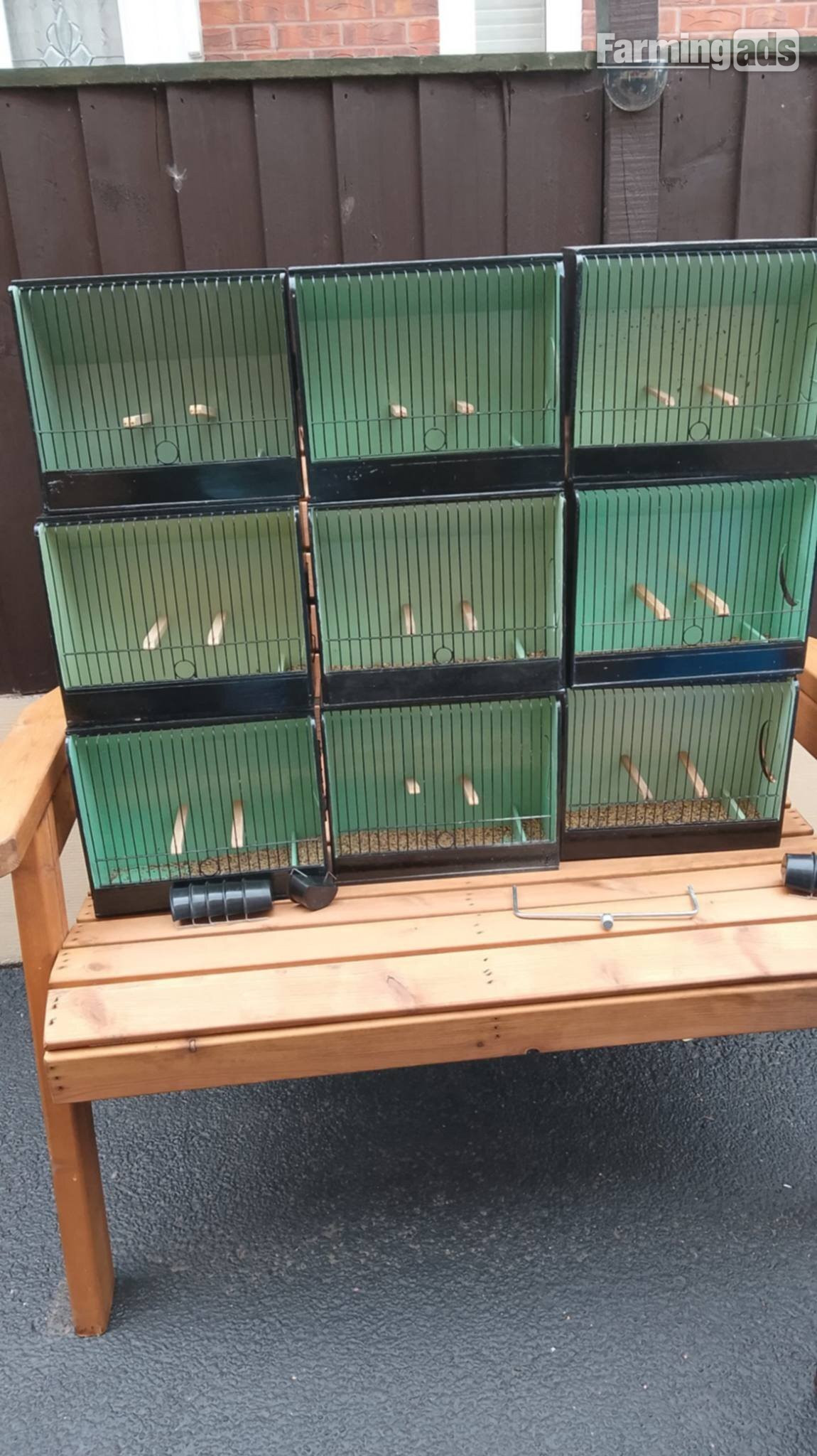  Gloster show boxes plus carrying box