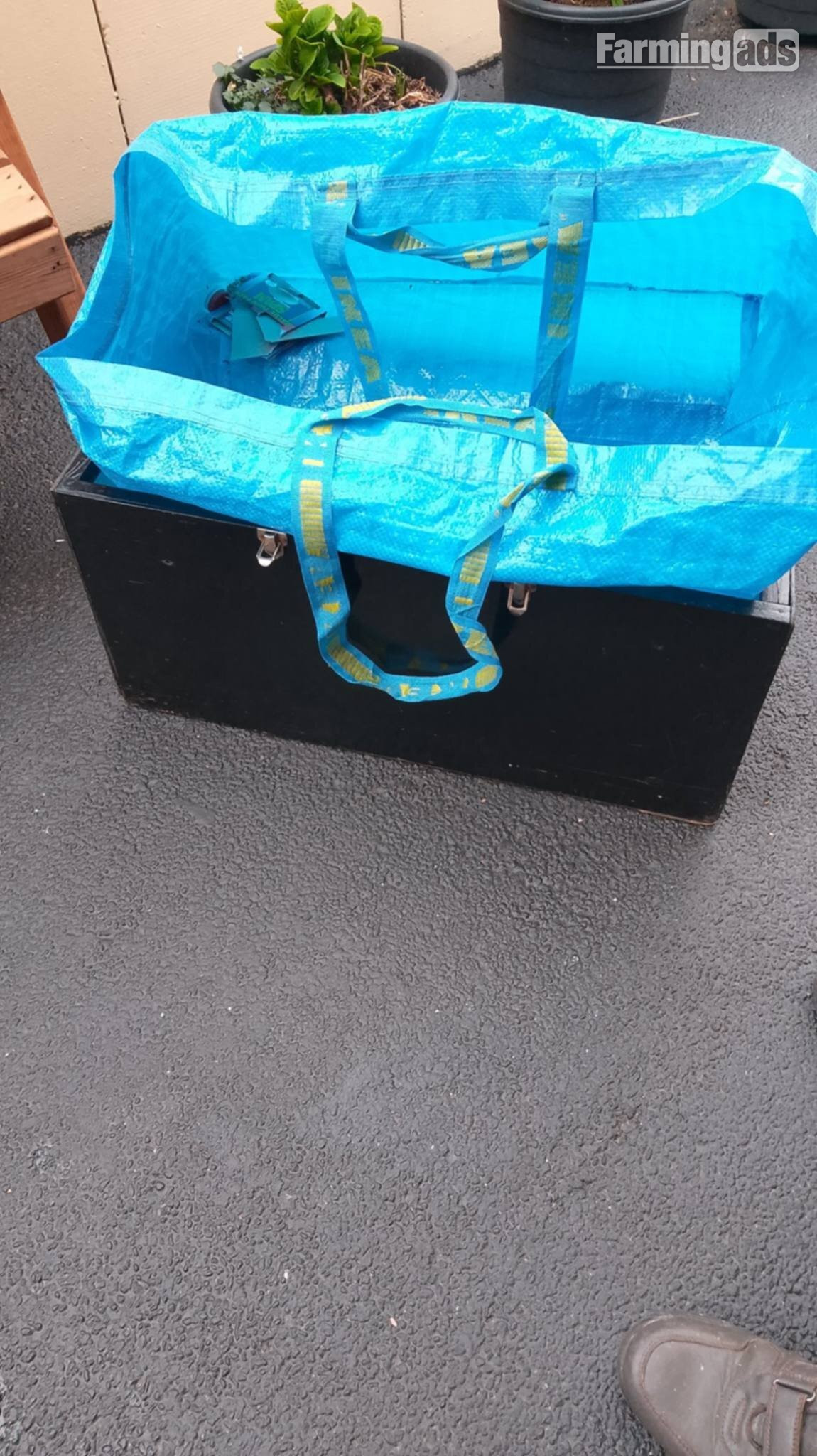Gloster show boxes plus carrying box - {CATEGORY}