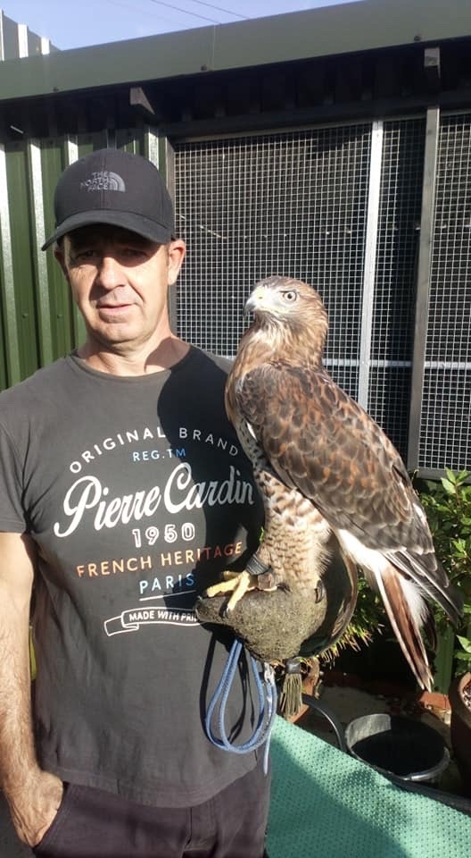 Parent reared female frugitail nine years old egg layer days at 3lb 6 oz 