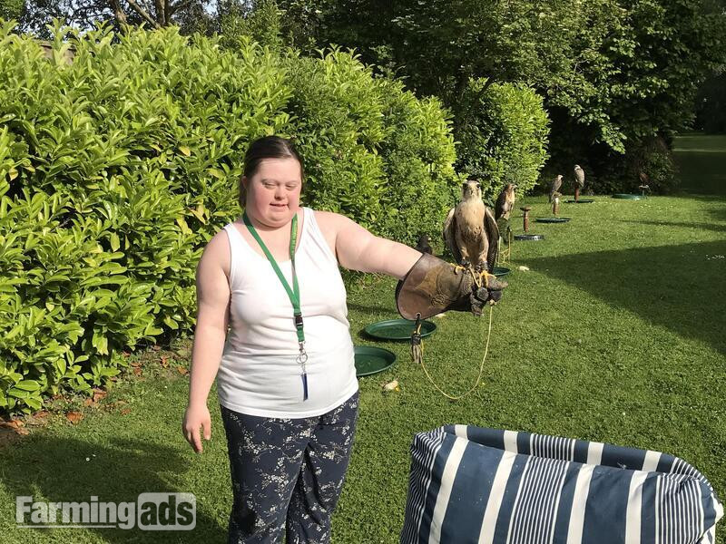  WANTED unwanted birds prey WANTED
