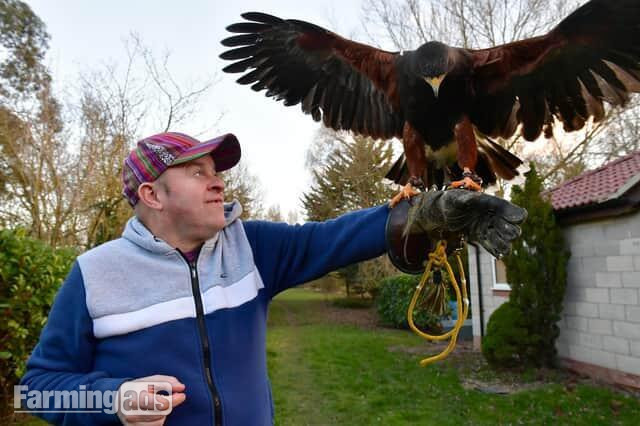 WANTED unwanted birds prey WANTED - {CATEGORY}