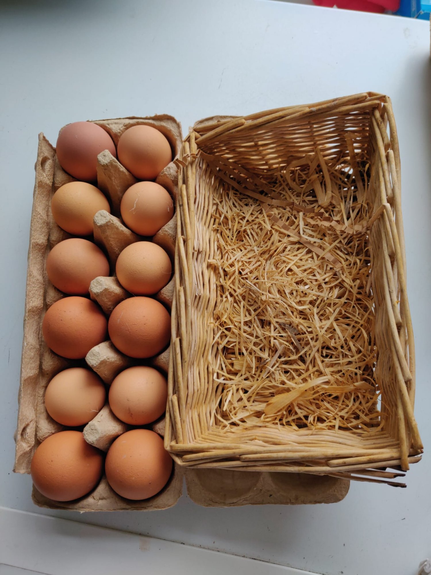  Fertilized chicken eggs for Sale in London