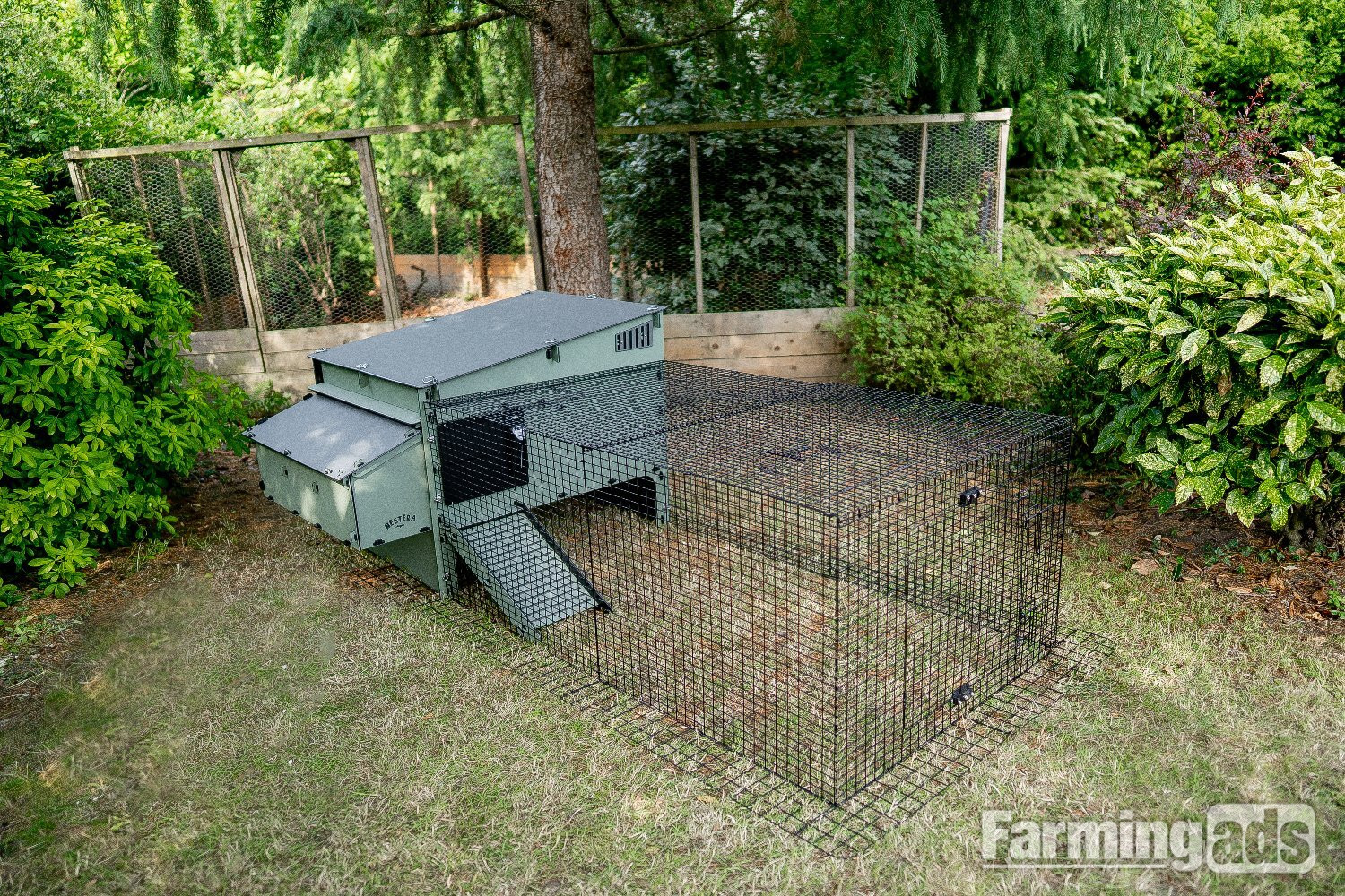 Chicken coops Nestera 100% recycled plastic