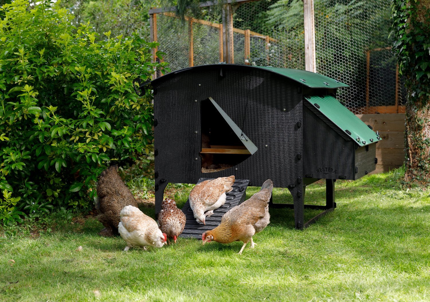  Chicken coops Nestera 100% recycled plastic