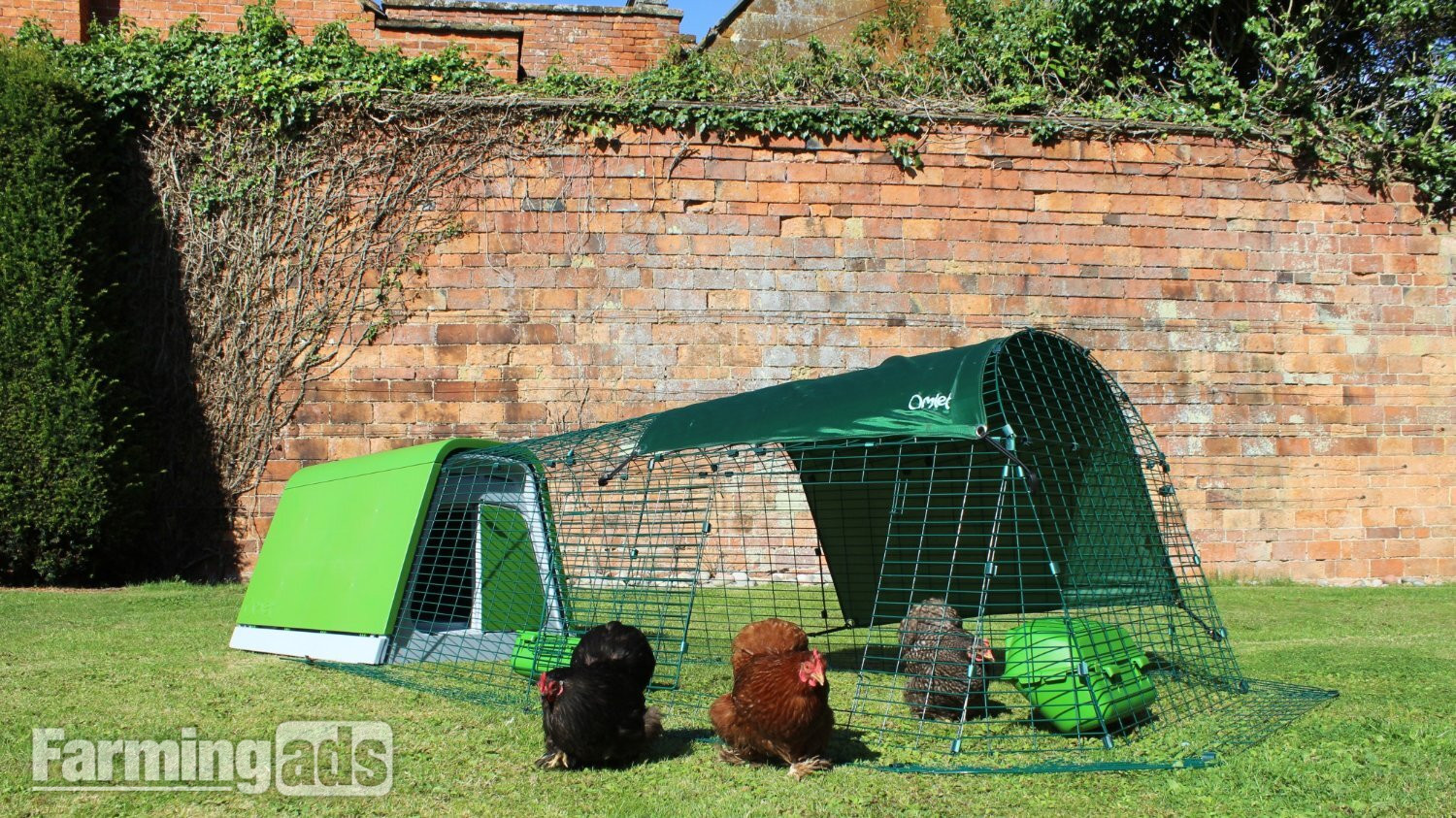  Omlet chicken coops