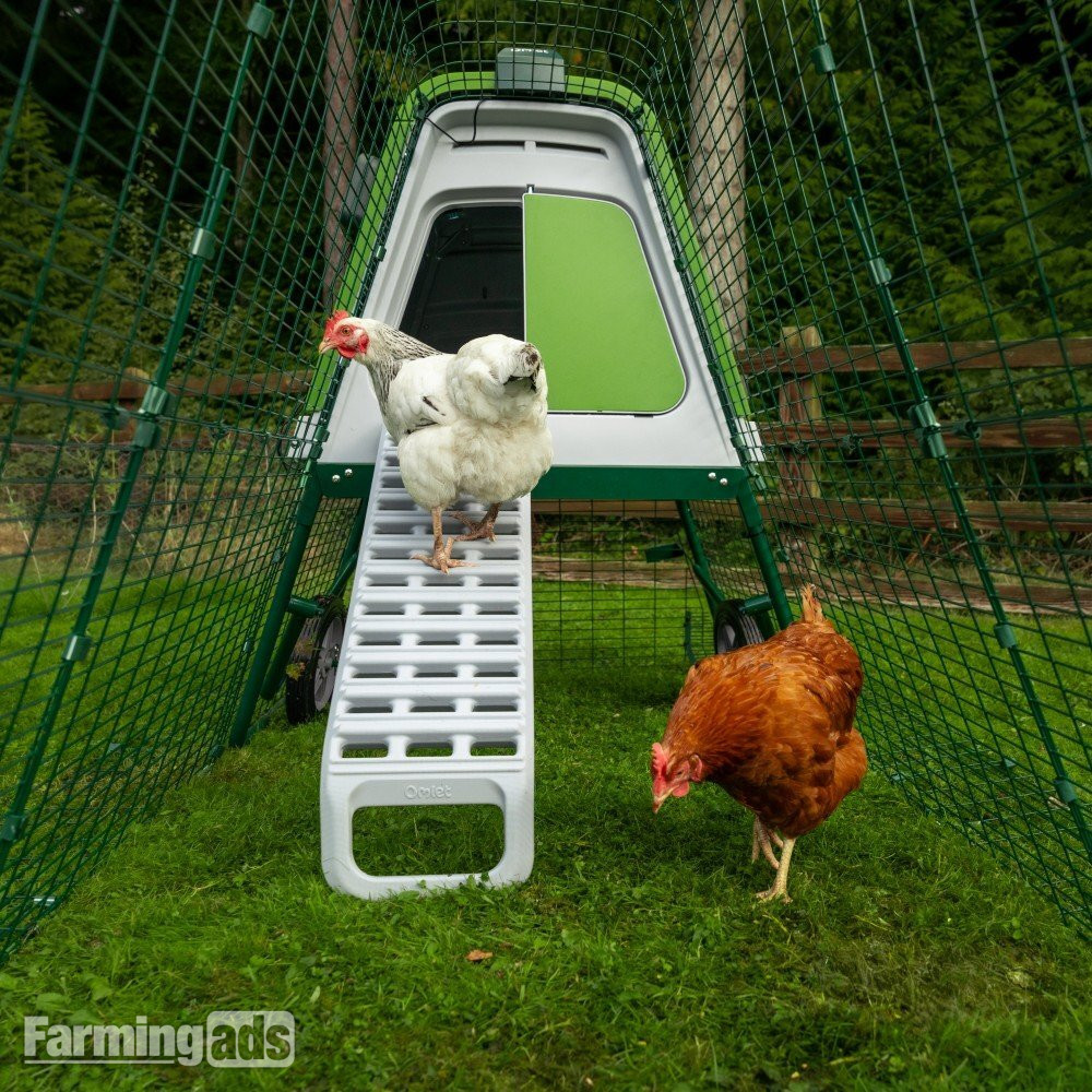 Omlet chicken coops - {CATEGORY}