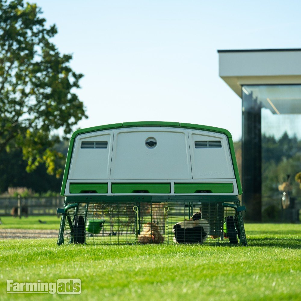 Omlet chicken coops - {CATEGORY}