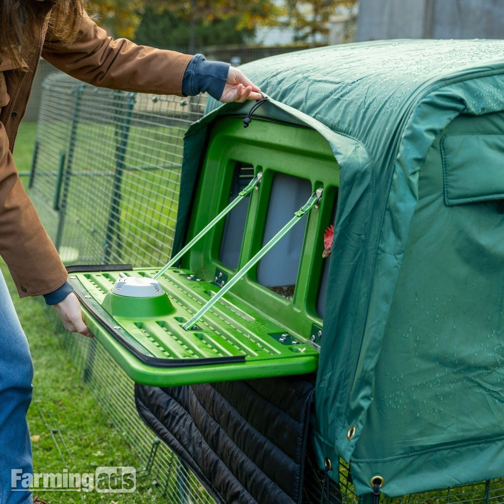 Omlet chicken coops 