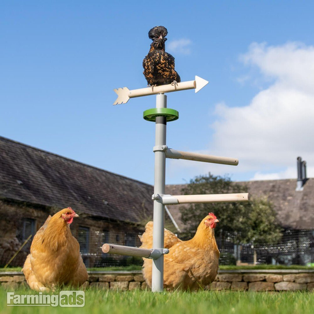 {CATEGORY} - Omlet chicken coops
