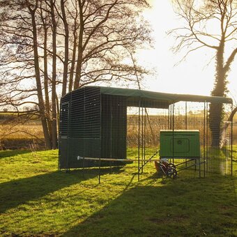 Omlet chicken coops