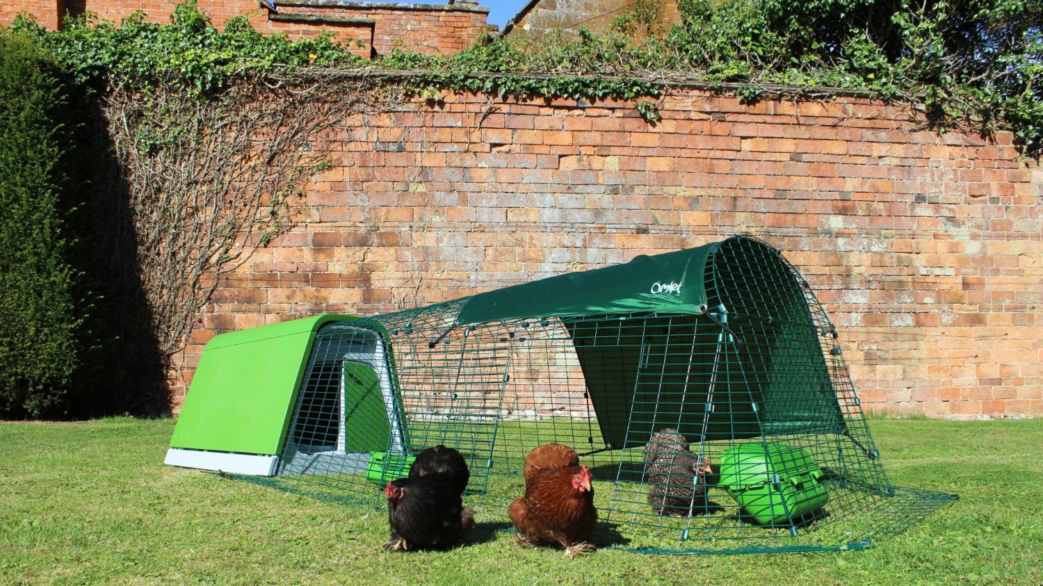  Omlet chicken coops