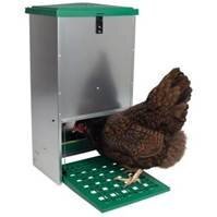 {CATEGORY} - Poultry accessories, feed, poultry supplies, etc
