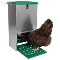 Poultry accessories, feed, poultry supplies, etc 