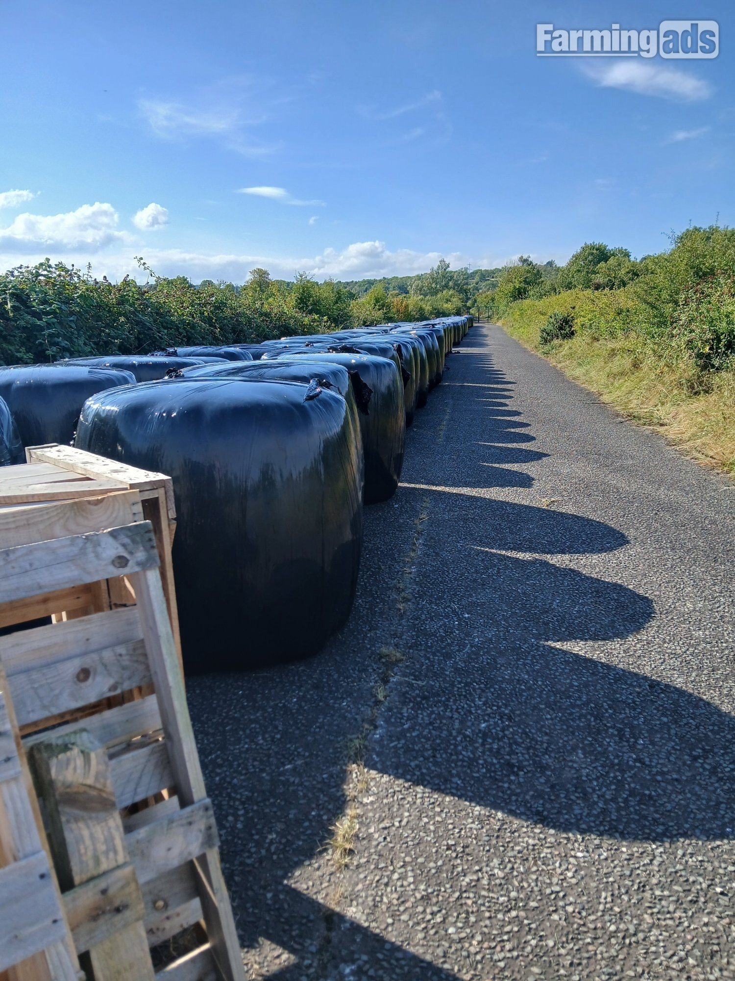 Round bale Silage and Haylage