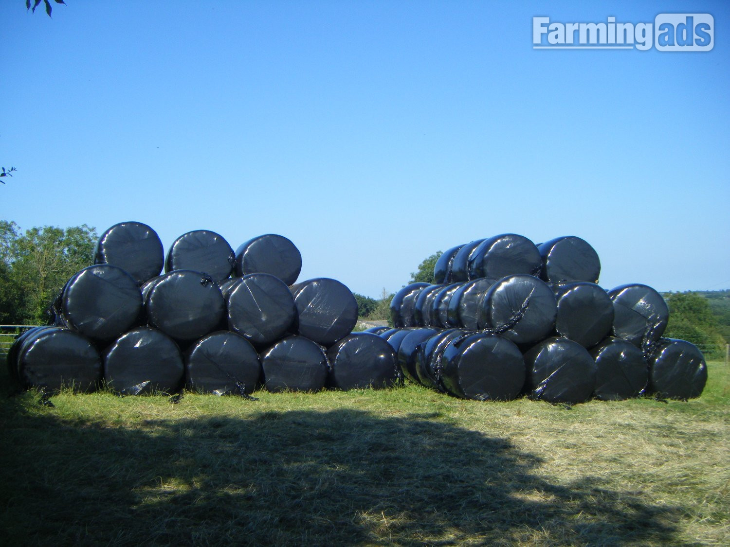 HAYLAGE - 80 Bales