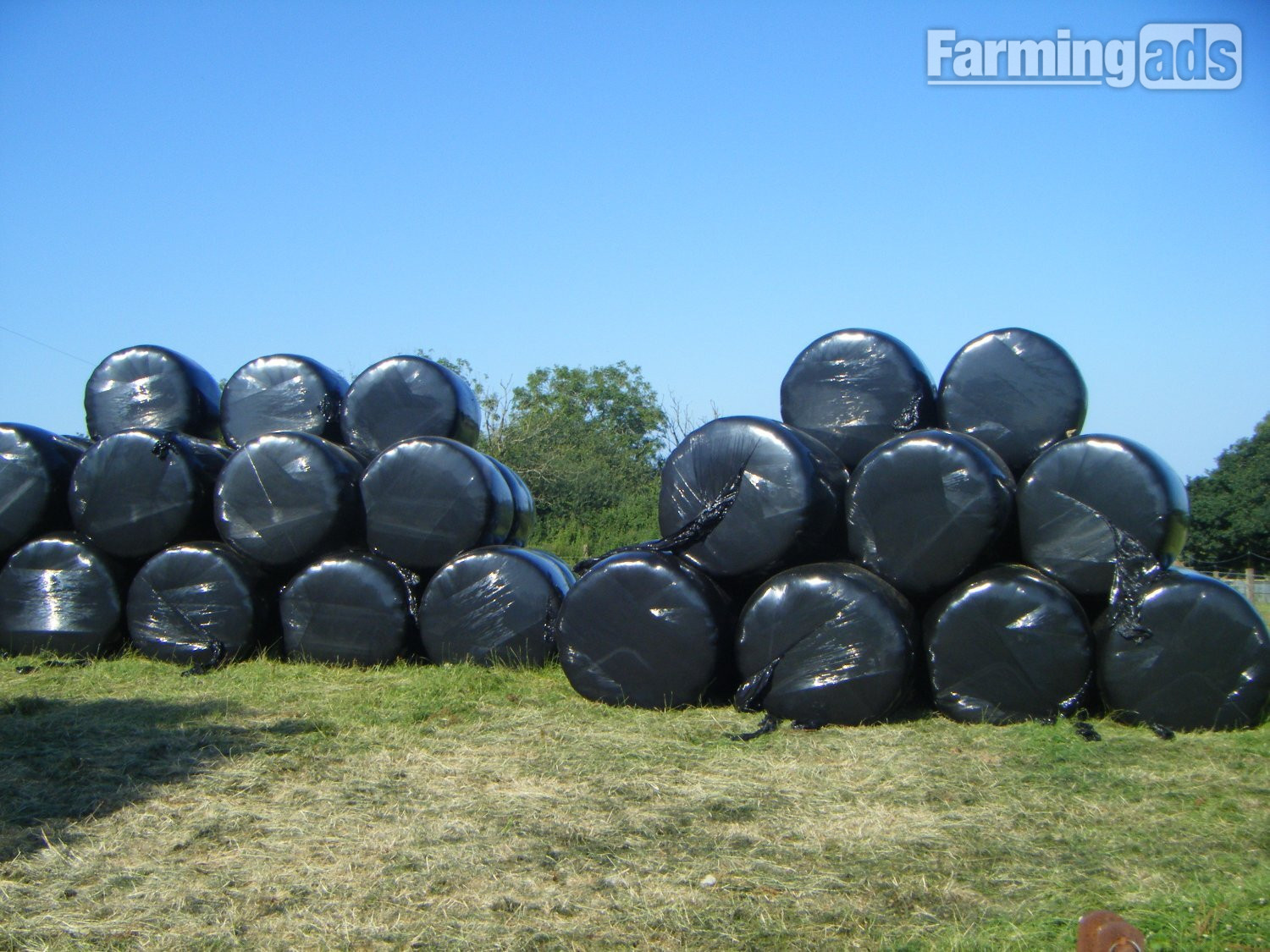 HAYLAGE - 80 Bales