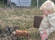 Oxford Sandy and Black Gilt