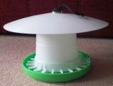 Poultry accessories, feed, poultry supplies, etc