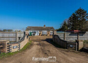 3 bedroom detached Bungalow in 2acre plot has an agricultral tie